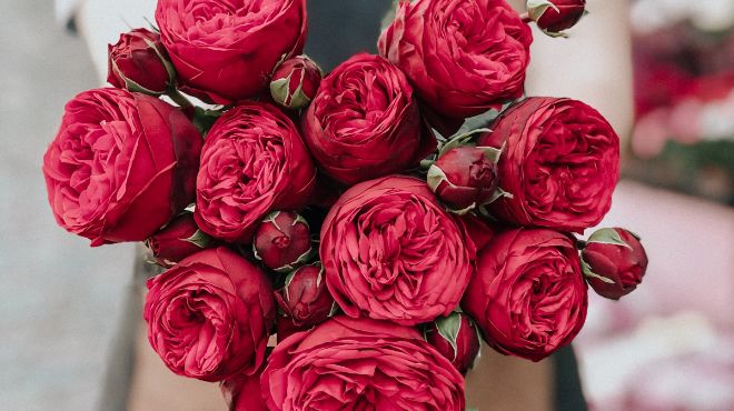 娘が私に花束を渡す