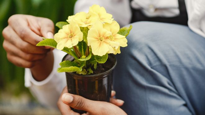 黄色い花から元気をもらう僕