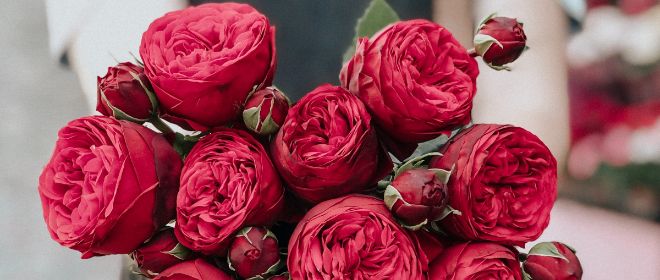 娘から母へ送られる花