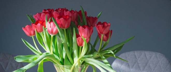 おうちに飾る花