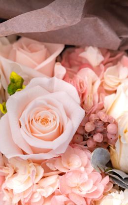 今月のプリザーブドフラワーの商品ページへ